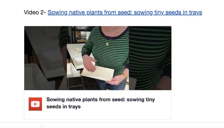 Sowing tiny seeds of native plants in trays