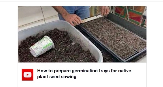 Planting native seeds #1